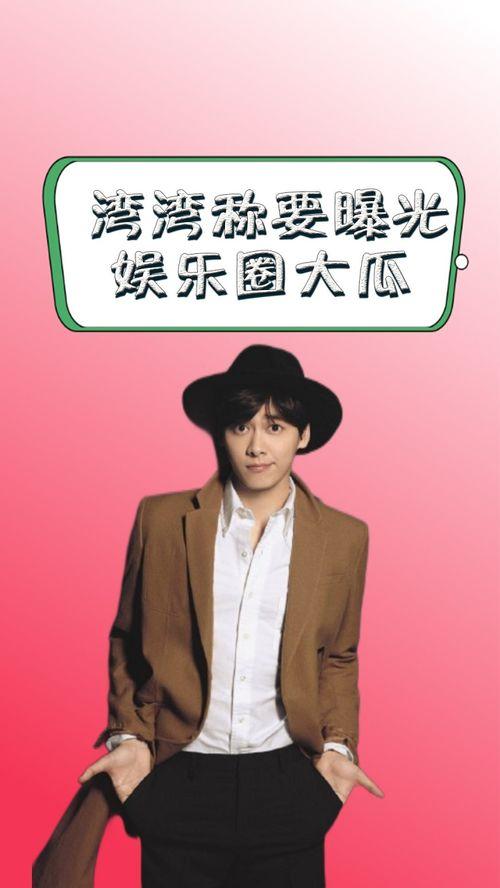 爆料娱乐圈湾湾,揭秘明星幕后故事与真实面目  第2张