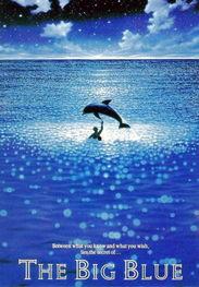 碧海蓝天 在线观看,在线畅享海洋生态之美