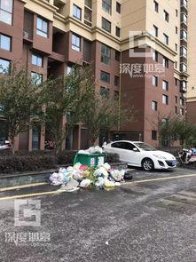 绿洲小区爆料事件最新,揭秘背后真相与争议焦点 第3张 绿洲小区爆料事件最新,揭秘背后真相与争议焦点 第3张